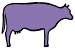 fialova krava 360x240